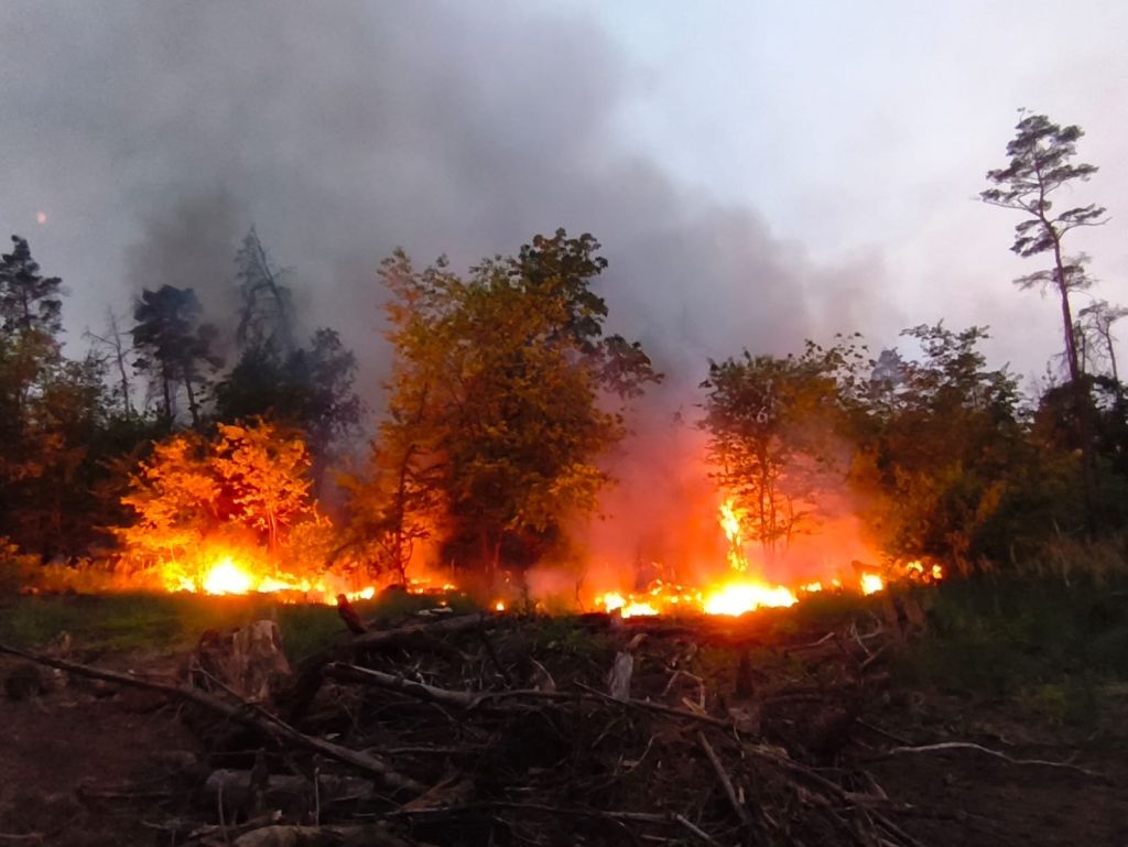 25 07 05 03 07 05 7a7d